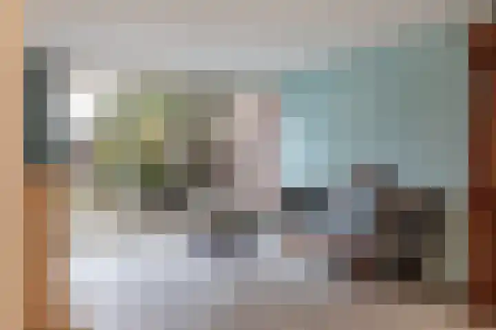 Laan van de Iemenhees 44 Emmen thumbnail 4