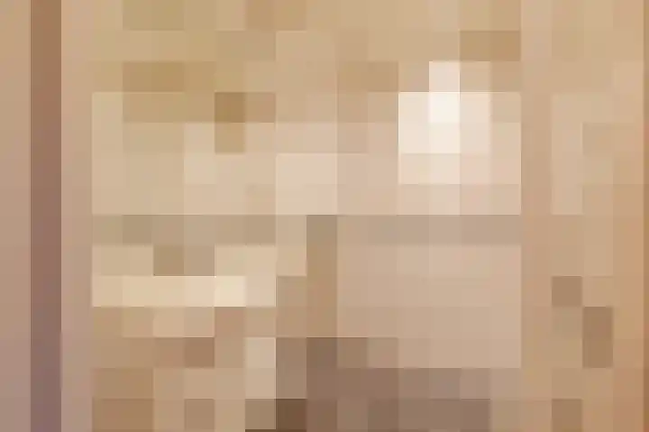 Laan van de Iemenhees 44 Emmen thumbnail 9
