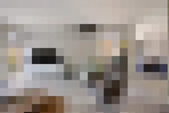 Laan van de Iemenhees 466 Emmen thumbnail 10