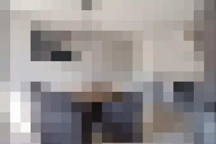 Laan van de Iemenhees 466 Emmen thumbnail 12