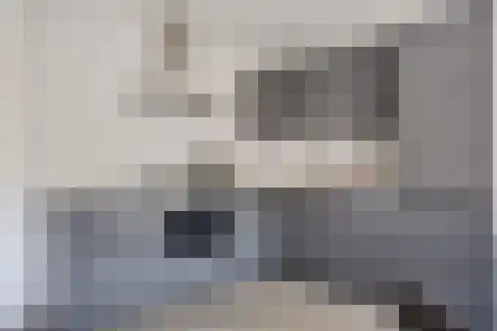 Laan van de Iemenhees 466 Emmen thumbnail 13