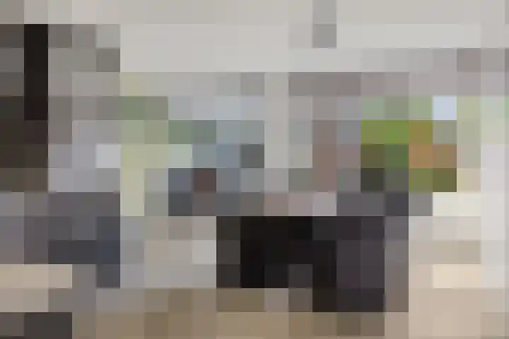 Laan van de Iemenhees 466 Emmen thumbnail 14