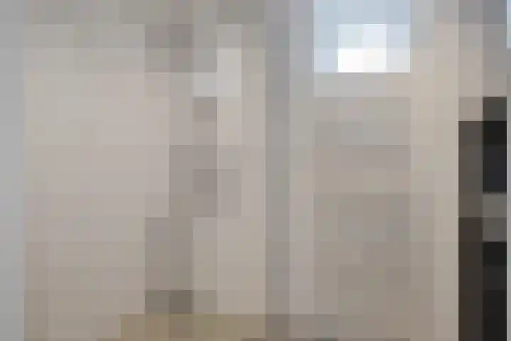 Laan van de Iemenhees 466 Emmen thumbnail 16