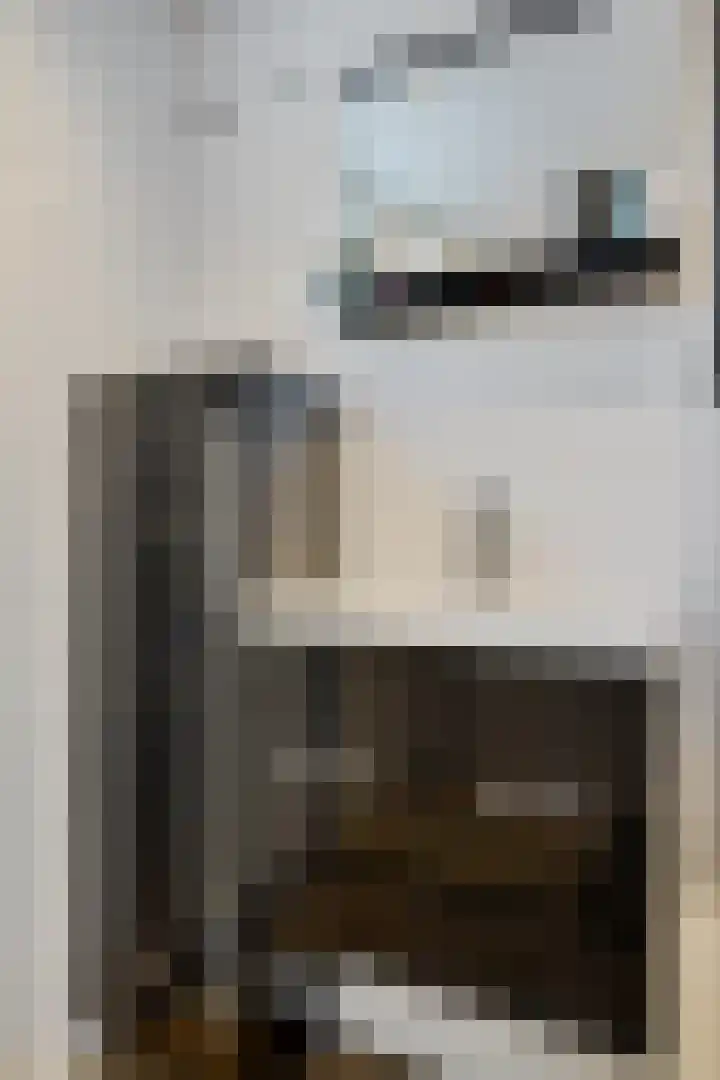 Laan van de Iemenhees 466 Emmen thumbnail 18