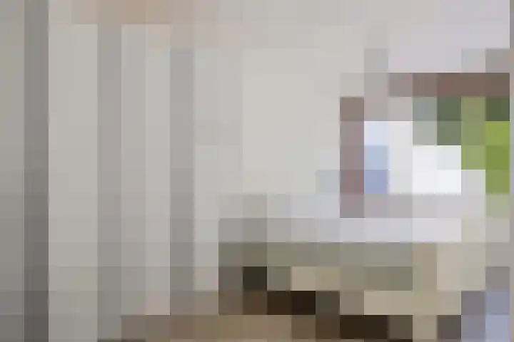 Laan van de Iemenhees 466 Emmen thumbnail 21