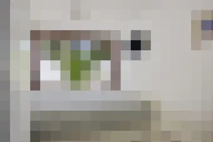 Laan van de Iemenhees 466 Emmen thumbnail 22