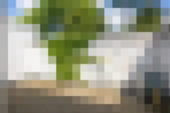 Laan van de Iemenhees 466 Emmen thumbnail 23