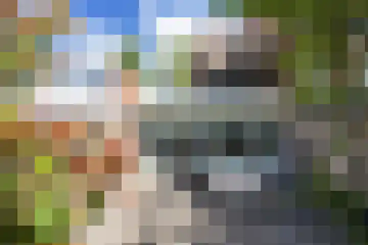 Laan van de Iemenhees 466 Emmen thumbnail 25