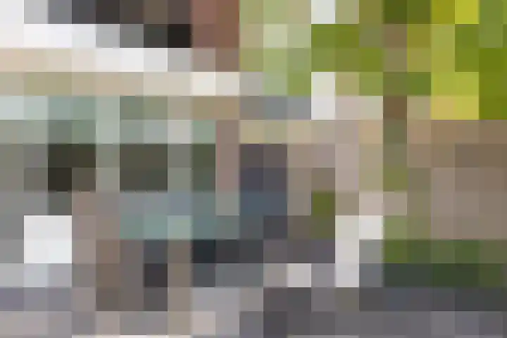 Laan van de Iemenhees 466 Emmen thumbnail 26