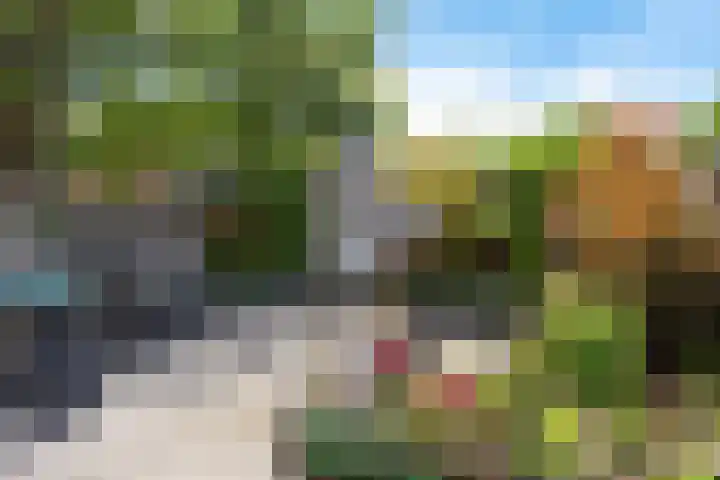 Laan van de Iemenhees 466 Emmen thumbnail 27