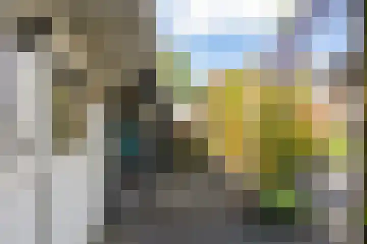 Laan van de Iemenhees 466 Emmen thumbnail 29