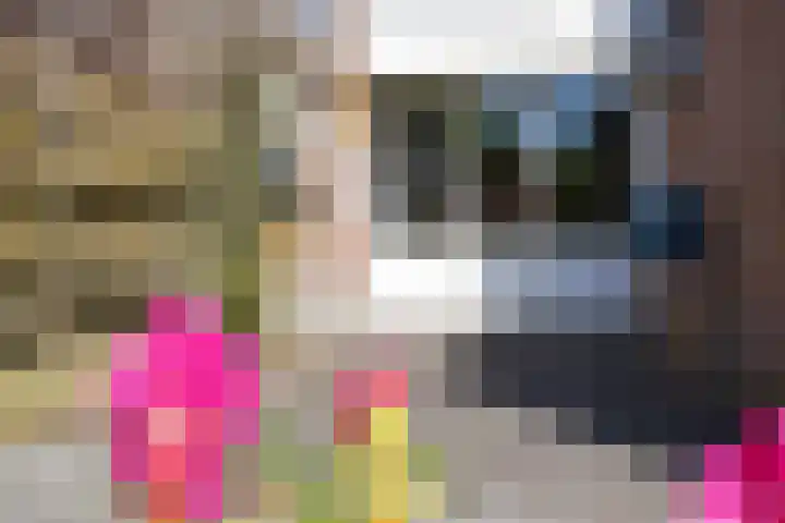 Laan van de Iemenhees 466 Emmen thumbnail 30