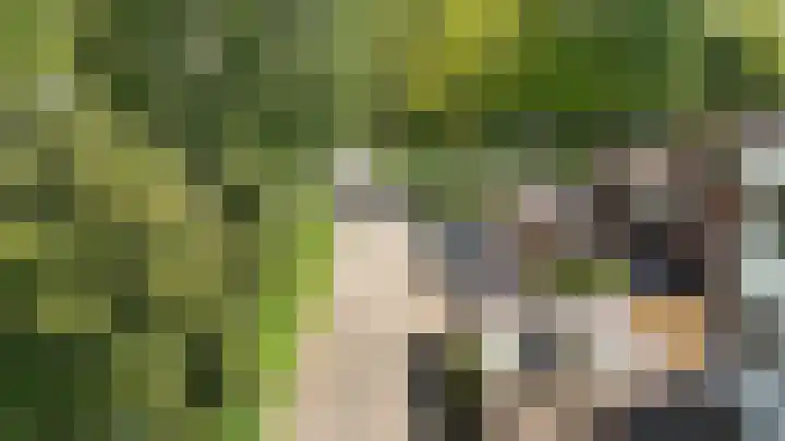 Laan van de Iemenhees 466 Emmen thumbnail 33