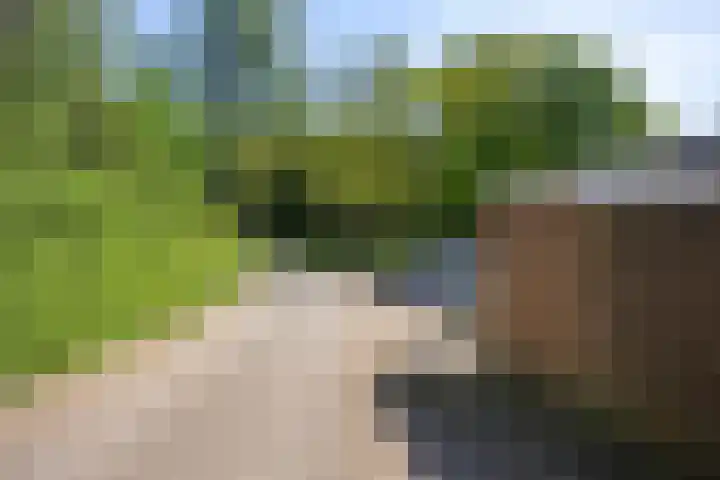 Laan van de Iemenhees 466 Emmen thumbnail 34