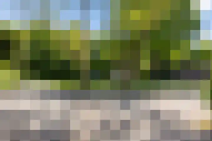 Laan van de Iemenhees 466 Emmen thumbnail 35