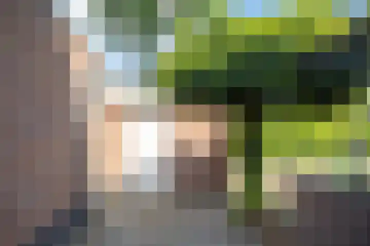 Laan van de Iemenhees 466 Emmen thumbnail 4