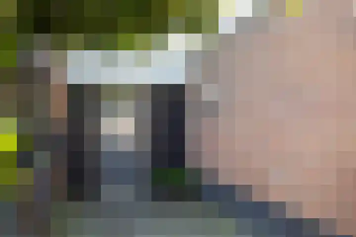 Laan van de Iemenhees 466 Emmen thumbnail 5
