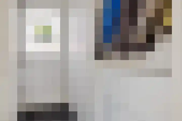 Laan van de Iemenhees 466 Emmen thumbnail 6