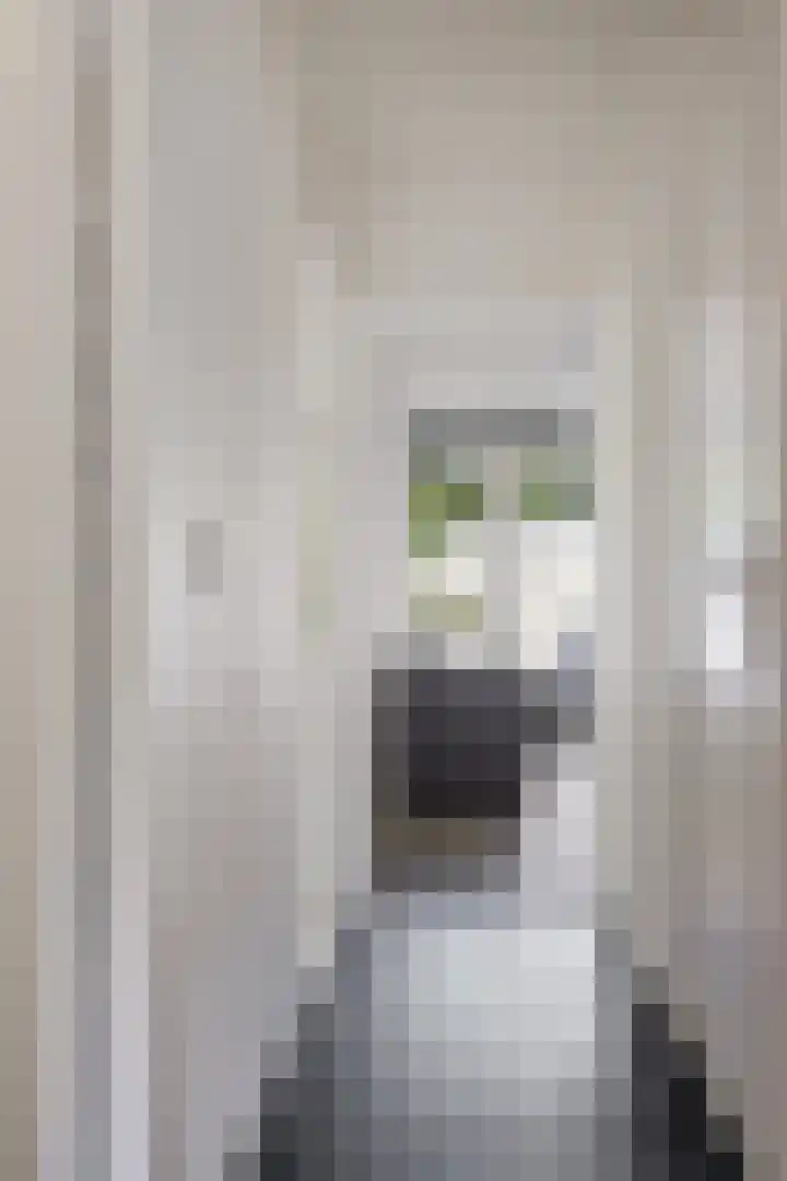 Laan van de Iemenhees 466 Emmen thumbnail 7