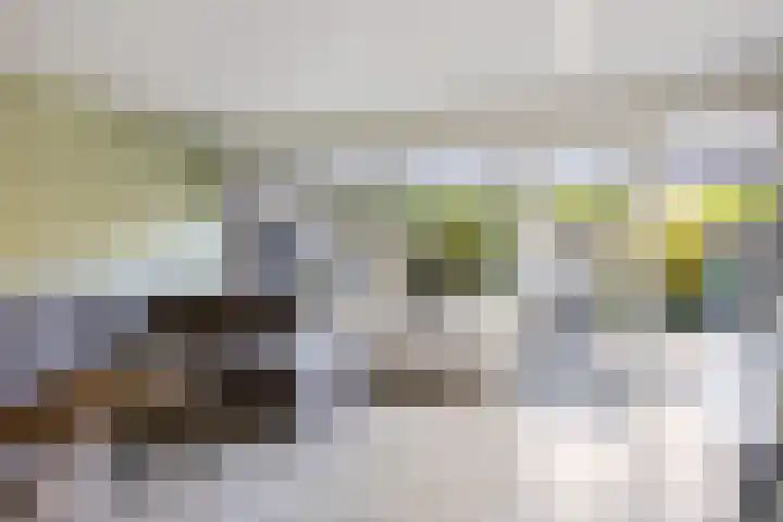 Laan van de Iemenhees 466 Emmen thumbnail 8