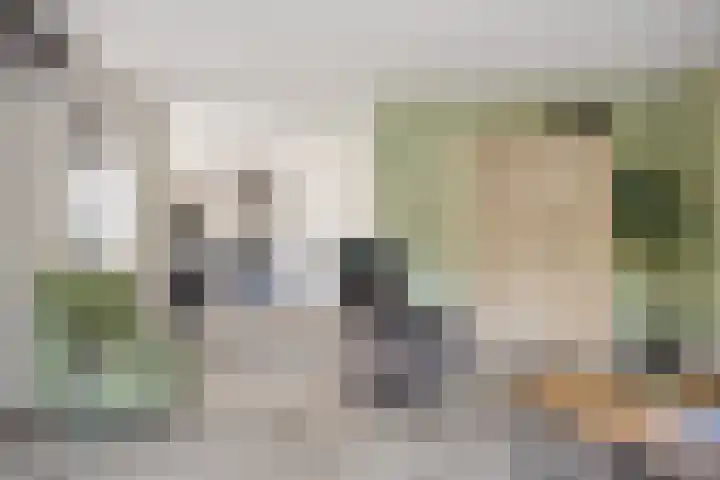 Laan van de Iemenhees 466 Emmen thumbnail 9