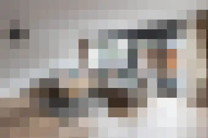 Laan van de Iemenhees 488 Emmen thumbnail 11
