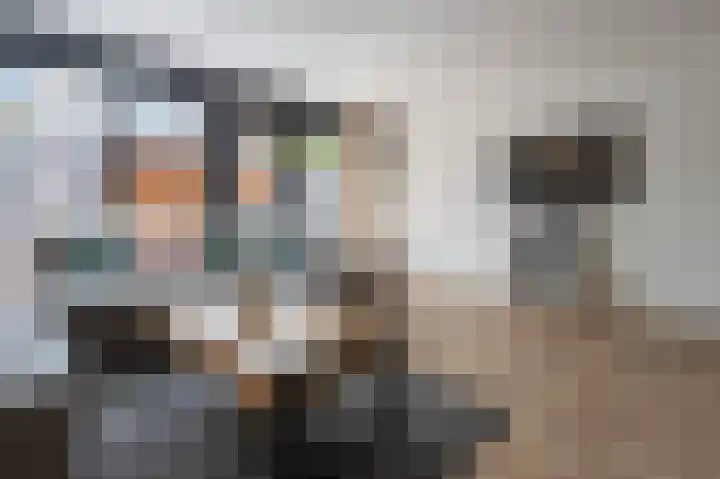 Laan van de Iemenhees 488 Emmen thumbnail 13