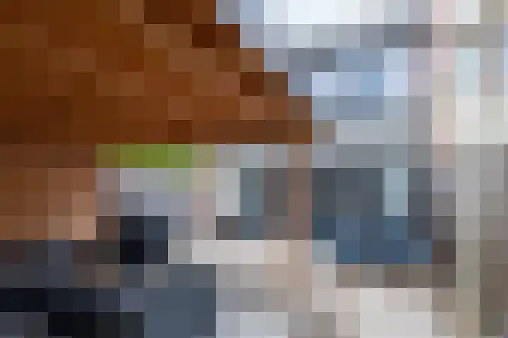 Laan van de Iemenhees 488 Emmen thumbnail 23