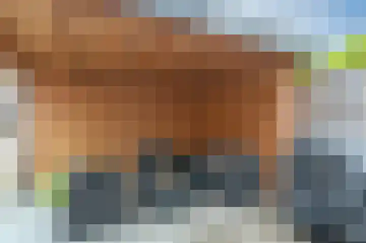 Laan van de Iemenhees 488 Emmen thumbnail 24