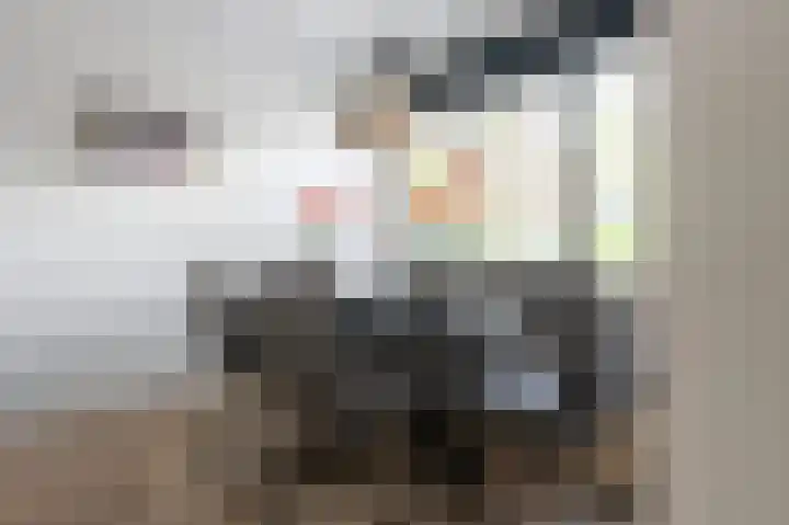 Laan van de Iemenhees 488 Emmen thumbnail 8