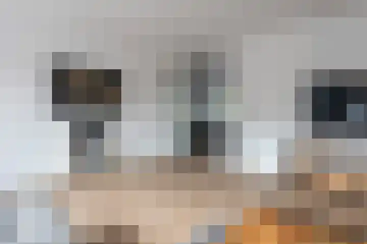 Laan van de Iemenhees 488 Emmen thumbnail 9