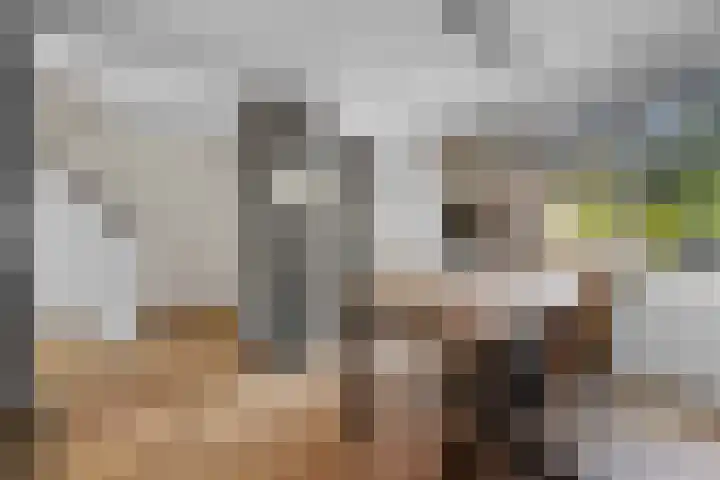 Laan van de Iemenhees 510 Emmen thumbnail 10