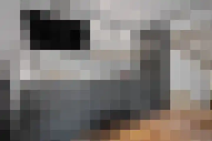 Laan van de Iemenhees 510 Emmen thumbnail 11