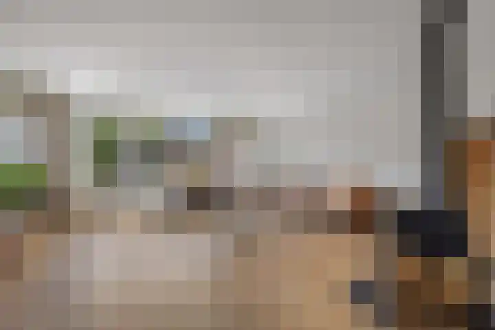 Laan van de Iemenhees 510 Emmen thumbnail 13