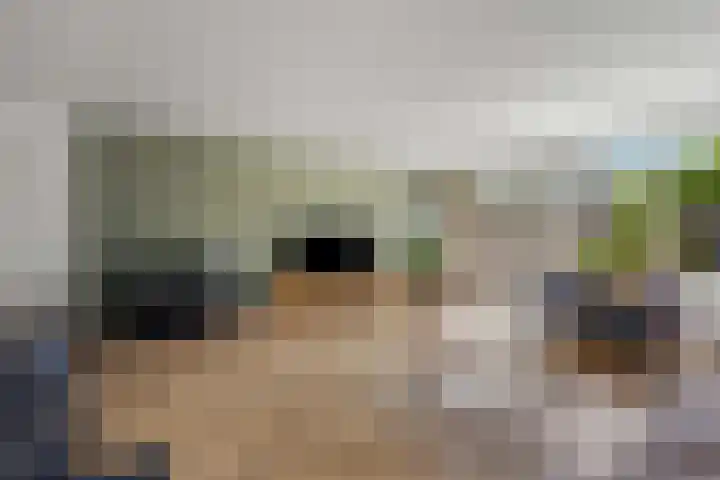 Laan van de Iemenhees 510 Emmen thumbnail 14