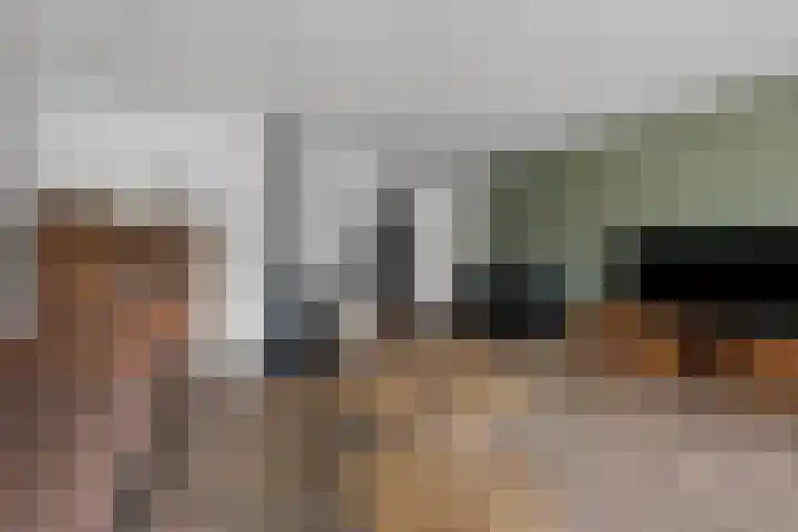 Laan van de Iemenhees 510 Emmen thumbnail 15