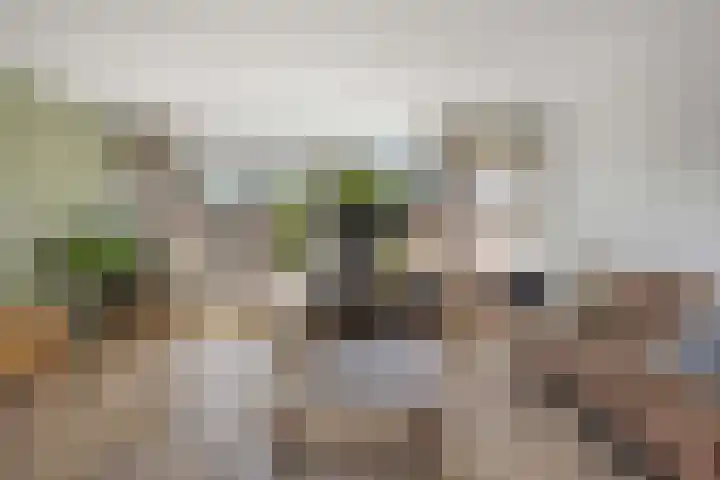 Laan van de Iemenhees 510 Emmen thumbnail 18