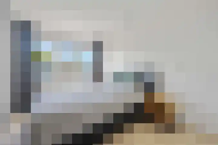 Laan van de Iemenhees 510 Emmen thumbnail 19