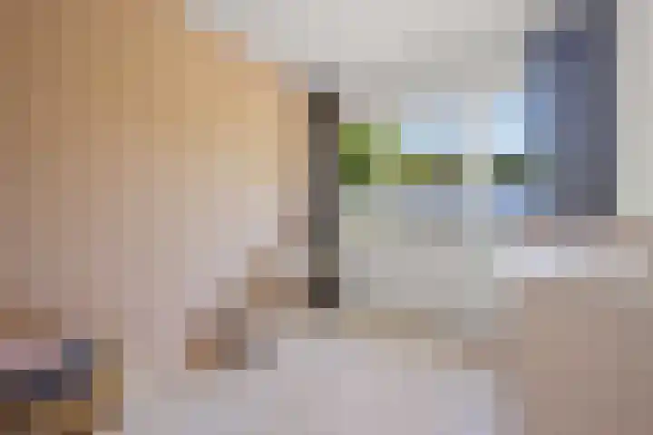 Laan van de Iemenhees 510 Emmen thumbnail 21