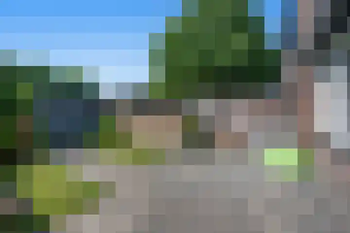 Laan van de Iemenhees 510 Emmen thumbnail 33