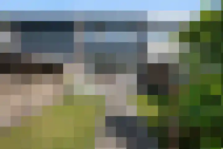Laan van de Iemenhees 510 Emmen thumbnail 36