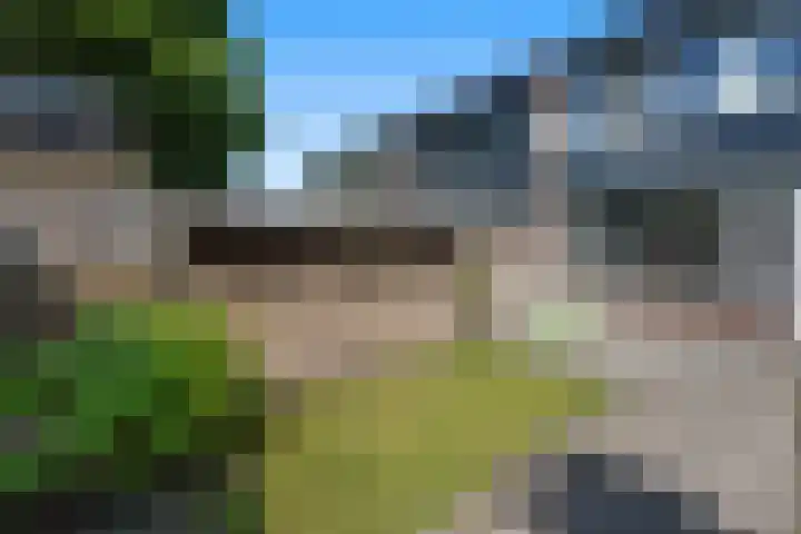 Laan van de Iemenhees 510 Emmen thumbnail 37