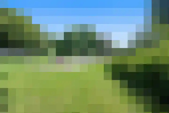 Laan van de Iemenhees 510 Emmen thumbnail 39