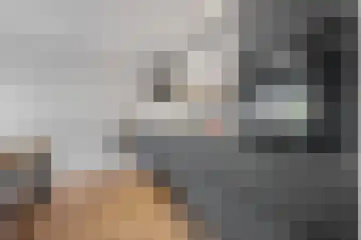 Laan van de Iemenhees 510 Emmen thumbnail 8