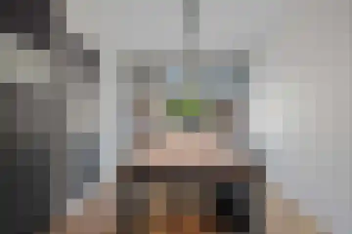 Laan van de Iemenhees 510 Emmen thumbnail 9