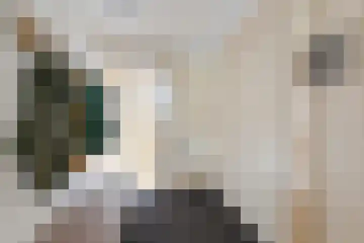 Laan van de Iemenhees 546 Emmen thumbnail 10
