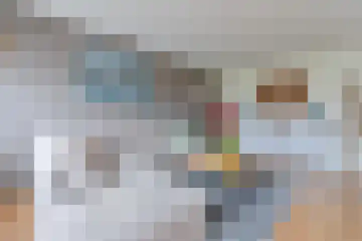 Laan van de Iemenhees 546 Emmen thumbnail 15