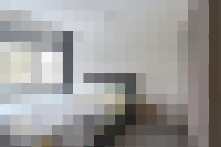Laan van de Iemenhees 546 Emmen thumbnail 34