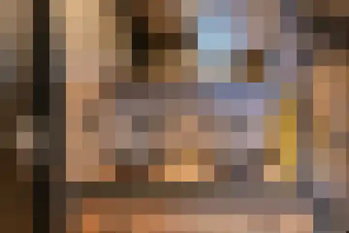 Laan van de Iemenhees 546 Emmen thumbnail 39