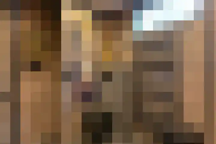 Laan van de Iemenhees 546 Emmen thumbnail 40